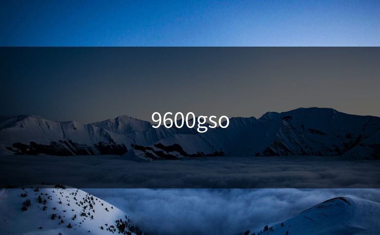 9600gso