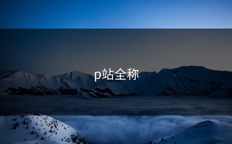 p站全称