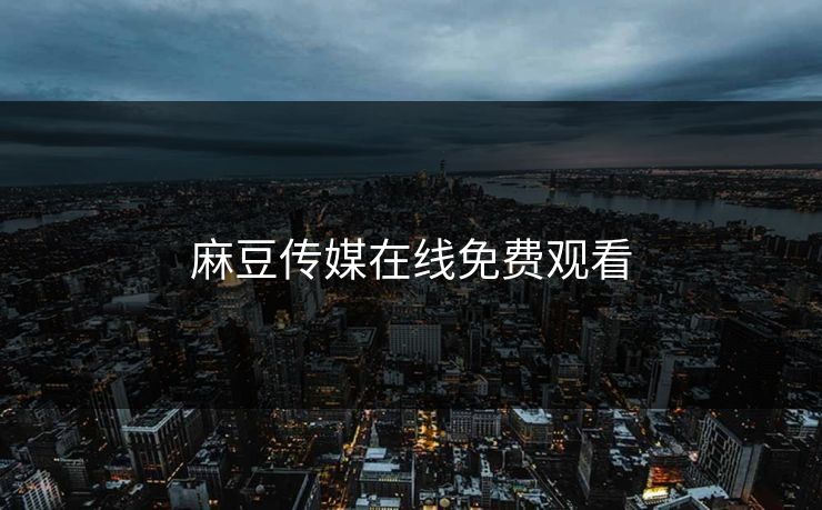 麻豆传媒在线免费观看